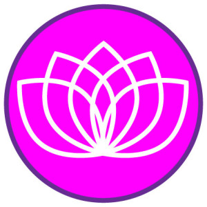 Lotus-Flower-Purple